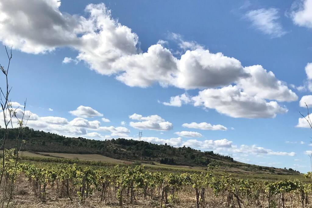 Appartement Le Jutini Caunes-Minervois Extérieur photo
